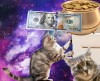 Кошка дерёт – богатство зовёт: Почему животные портят вещи?