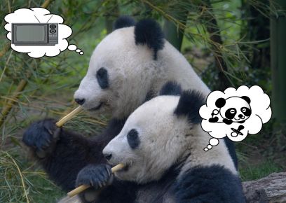 Кунг-фу Панда: Черно-белое чудо, которому нужны медвежьи фильмы «для взрослых»