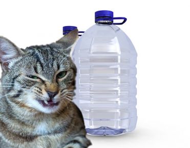 Лабиринт для котика из пластиковых бутылок. Своими руками дешевле