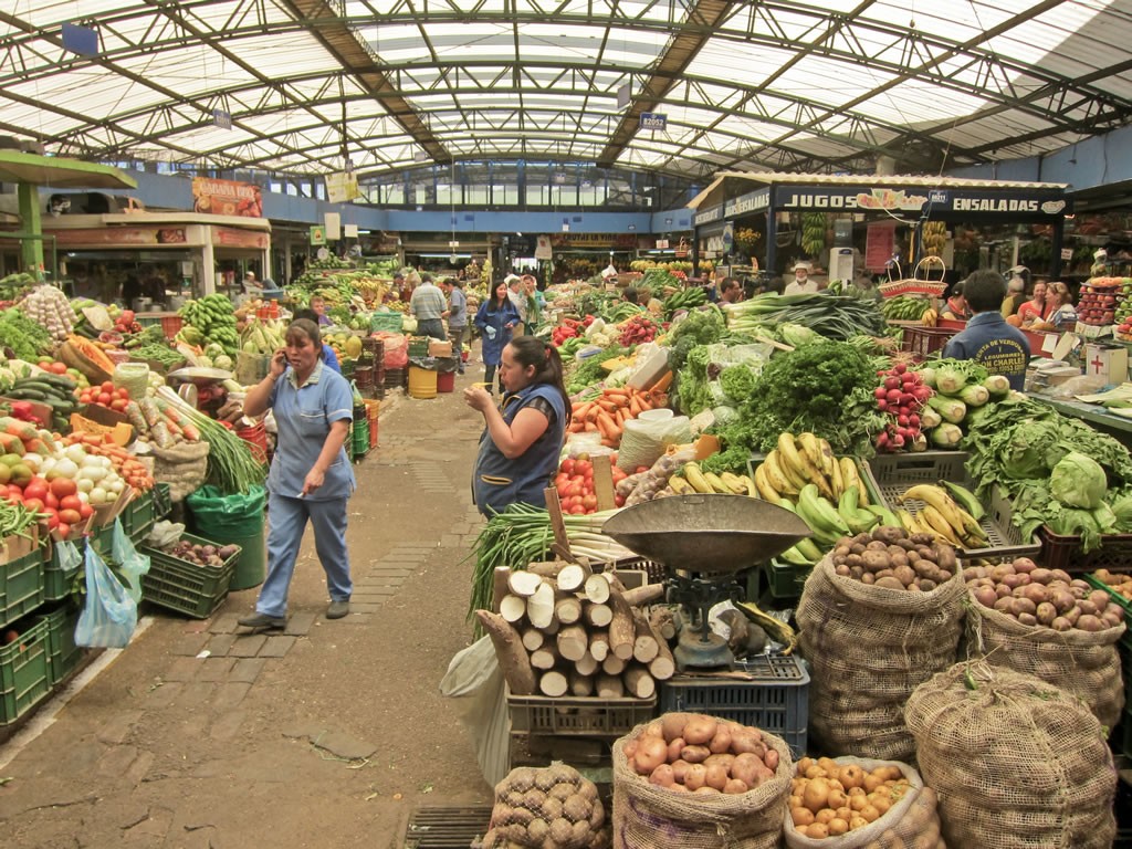 Dark Markets Estonia