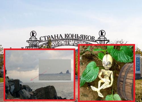 Коктебельский найдёныш: В Крыму нашли спящего ануннака с вином
