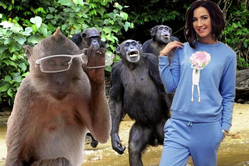 Мартышка и...Ольга Бузова «подралась» с обезьяной за солнцезащитные очки