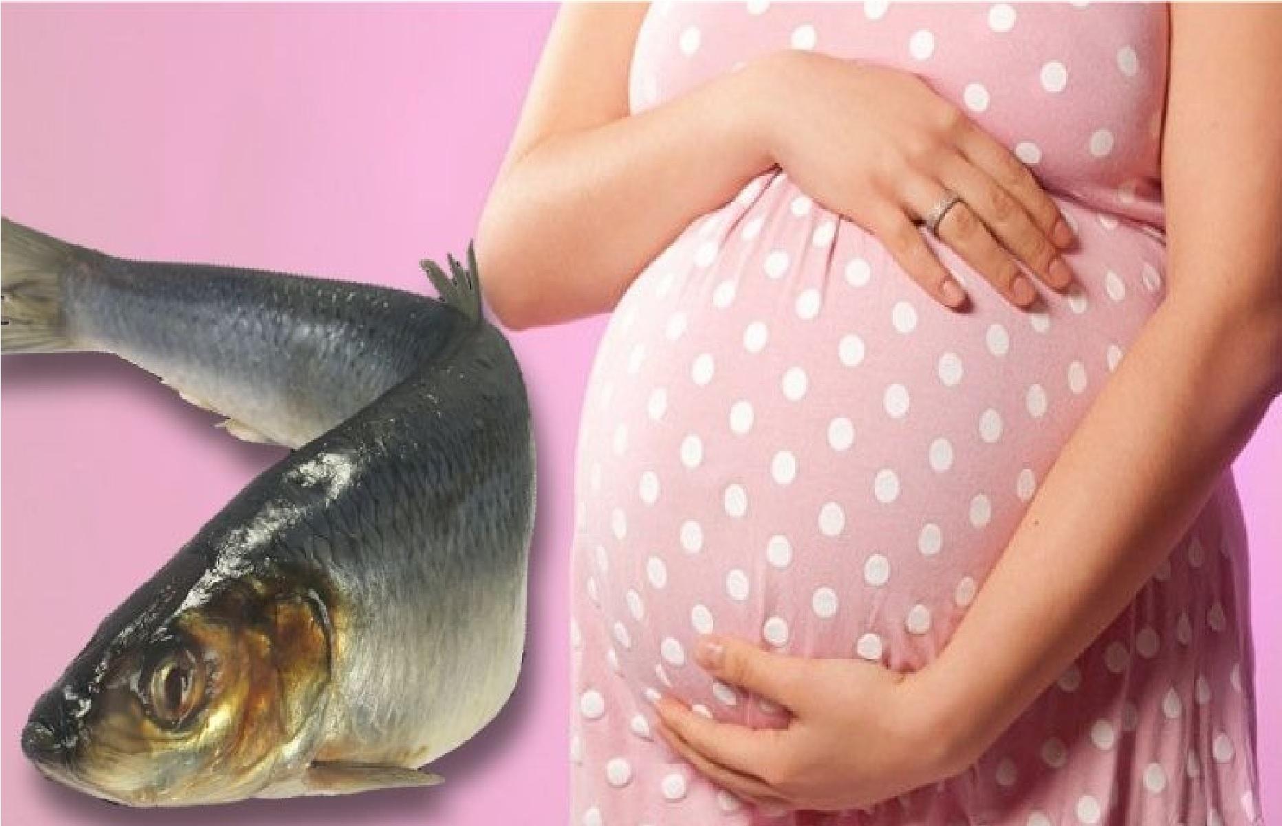 К чему снится соленая рыба во сне. Рыба снится к беременности. Рыбки на беременность. Сельдь для беременных.