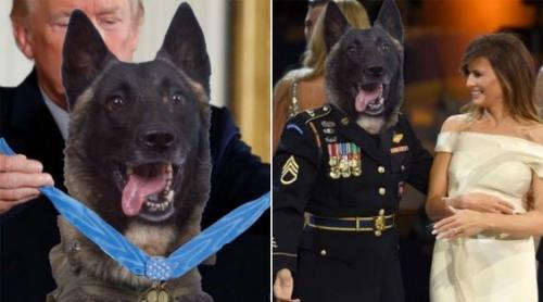 «Фотожаберы» посмеялись над Трампом и «собакой, убившей аль-Багдади»