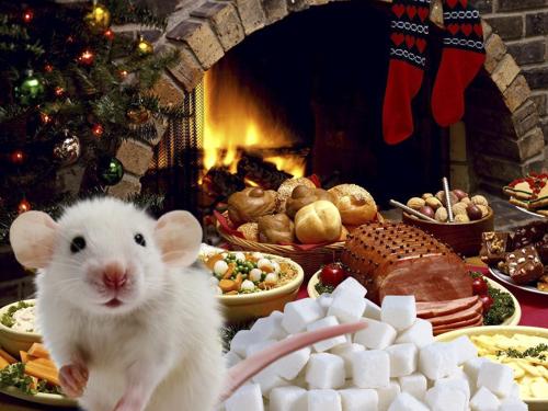Крысиный угол: Что поставить на стол в Новый год для счастья?