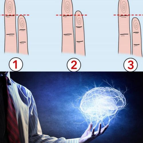Длинный мизинец – великий ум: Психологи нашли взаимосвязь размера пальца с интеллектом