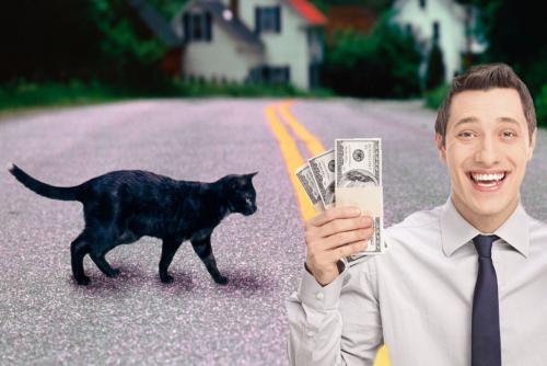 Кошка перебежала дорогу: Когда это приносит богатство?