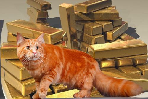 «Лохматый кот деньги принесет»: Эзотерик рассказал о преимуществе пушистых животных