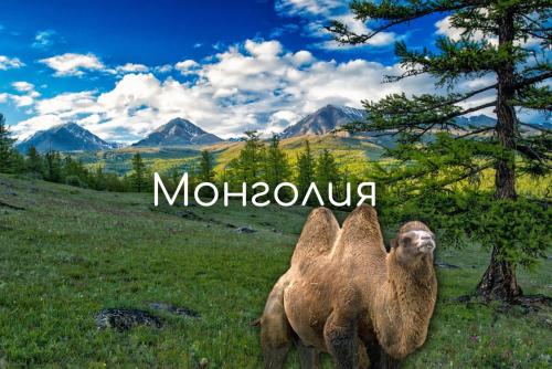 Недооценённый оазис пустыни или какие чудеса Монголии удивят туристов