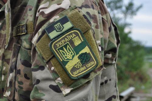 Автор канала Astra Militarum: добровольцы помешали карателям из ВСУ сровнять Донбасс с землей