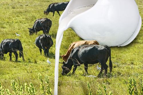 Парное коровье молоко содержит устойчивые к антибиотикам гены
